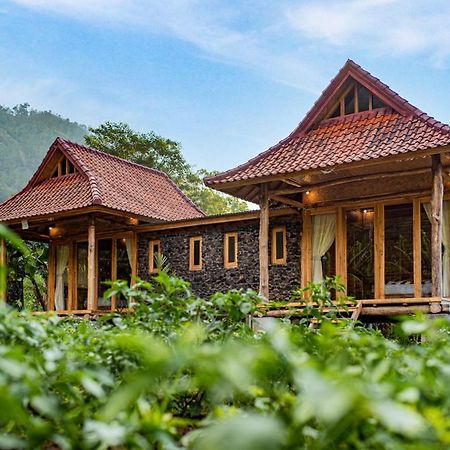 Pondok Manoka Kintamani  Exterior photo